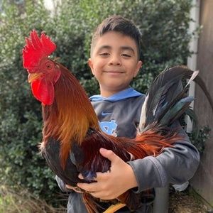 Meet your Posher, Tony carolina